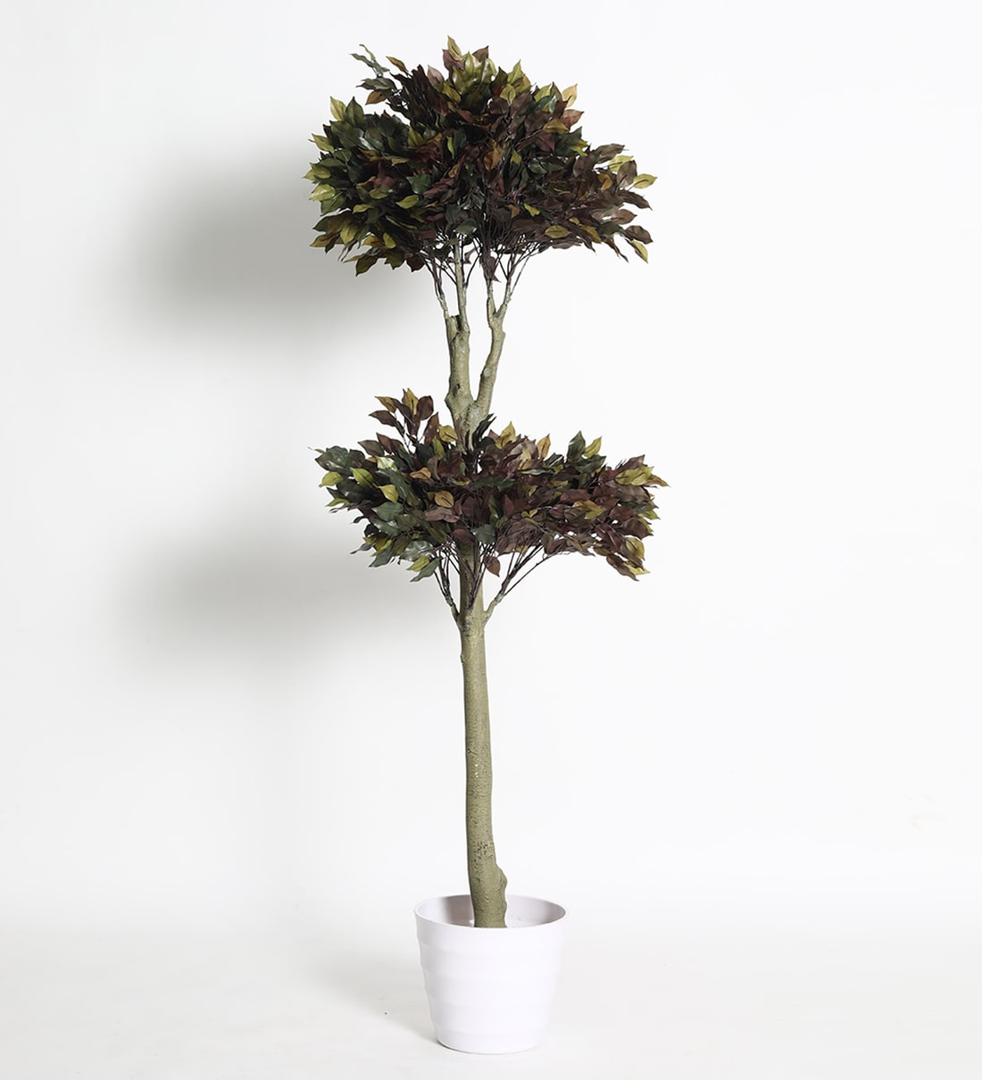 Buy Red Plastic Ficus Artifical Plants Without Pot By Fourwalls Online