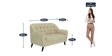 Rebecca Velvet 2 Seater Sofa in Beige Colour