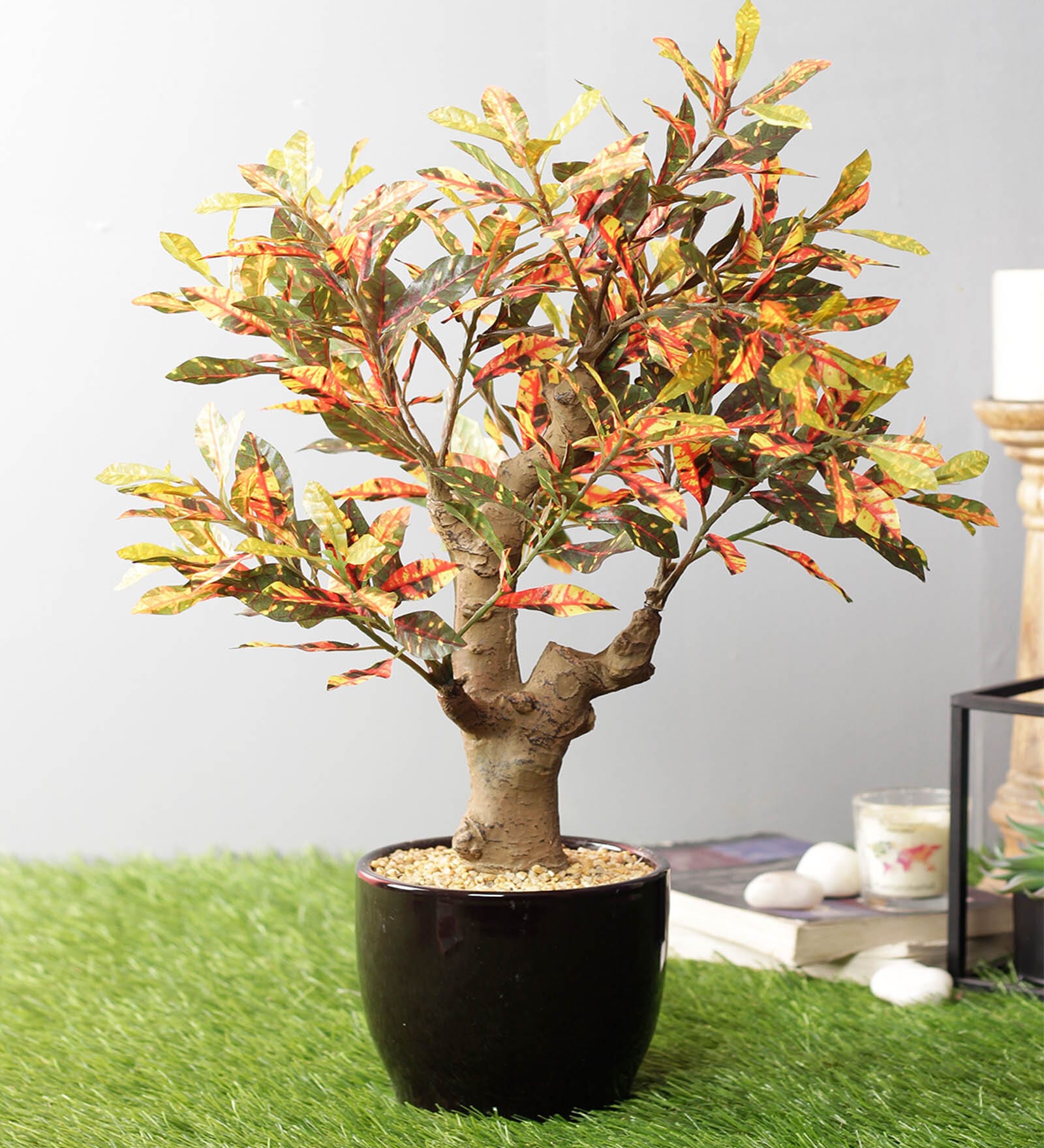 Red Artificial Red Croton Bonsai Plant with Pot