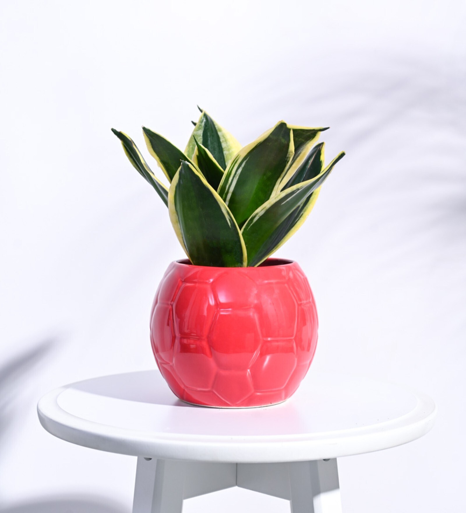 Red Ceramic Football Shape Desk Pot Desk Pot