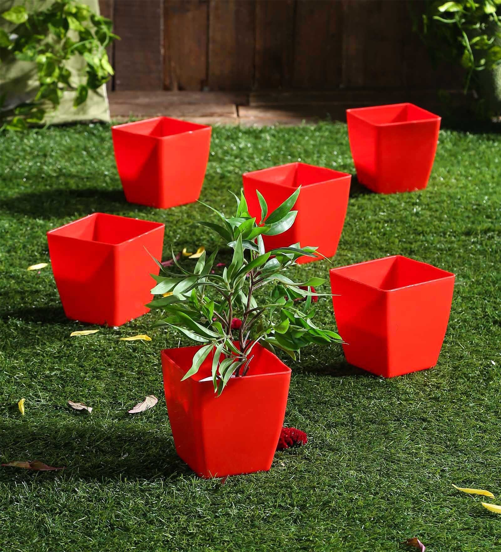 Red Plastic Planter