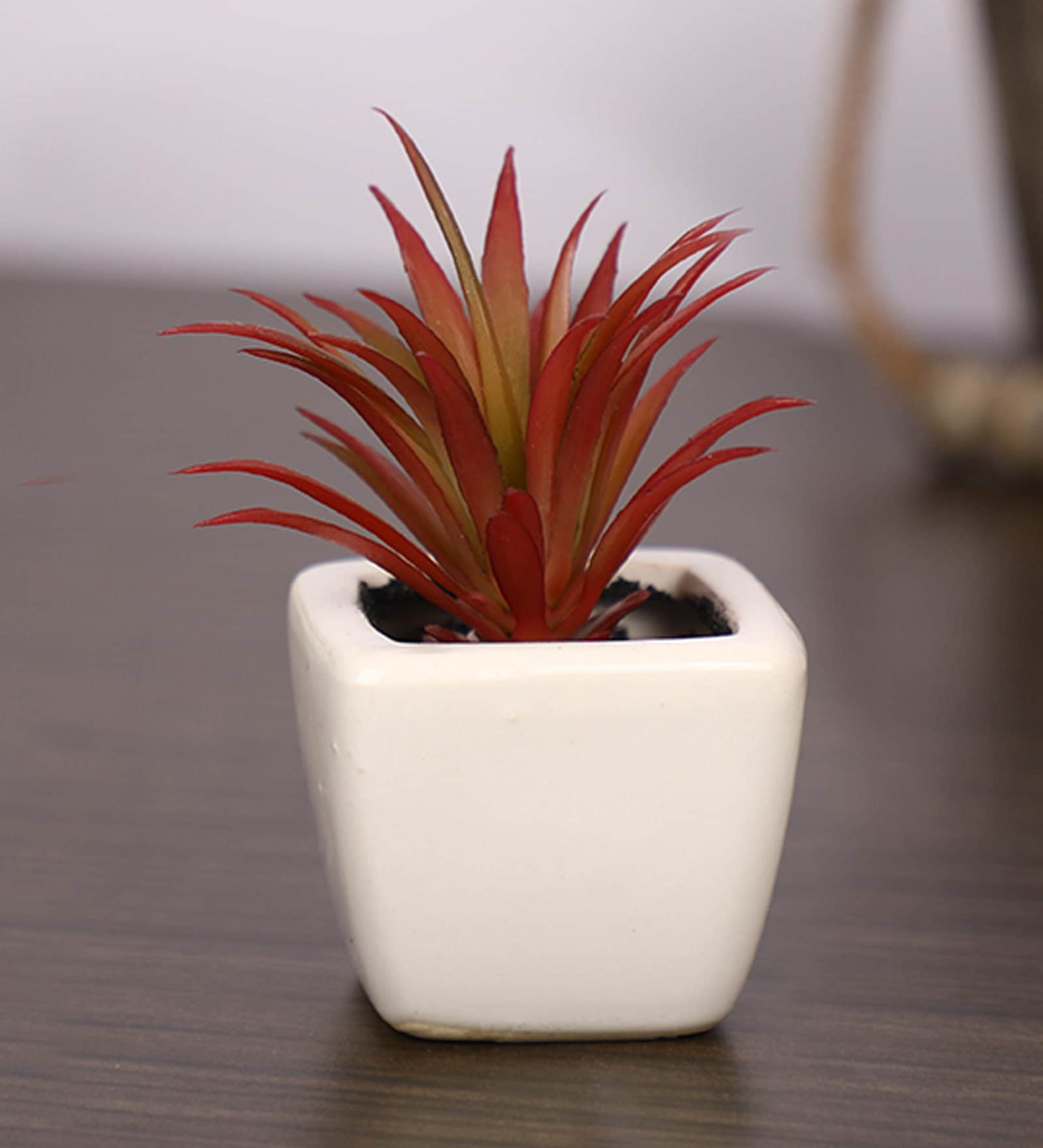 Polyester Vera Decorative Artificial Red Paperweight Bonsai With Pot Artificial Plant