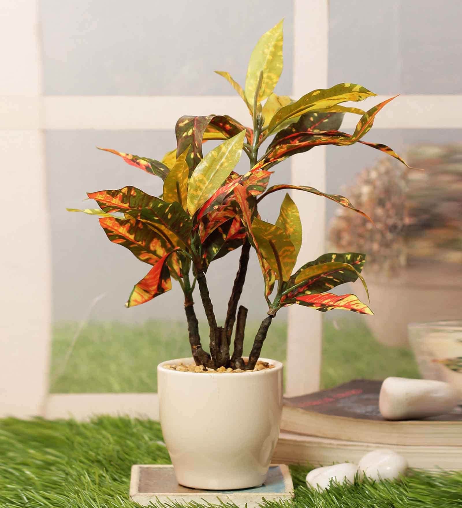 Red Pvc Croton Artificial Bonsai With Off- White Ceramic Pot