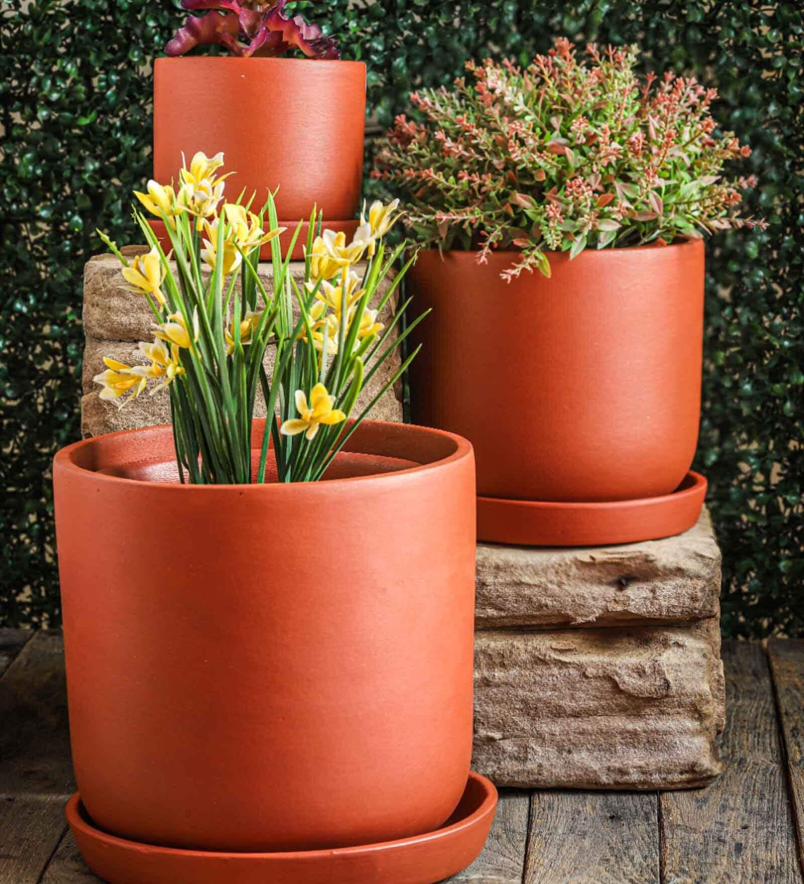 Red Terracotta Autumn Planter Set