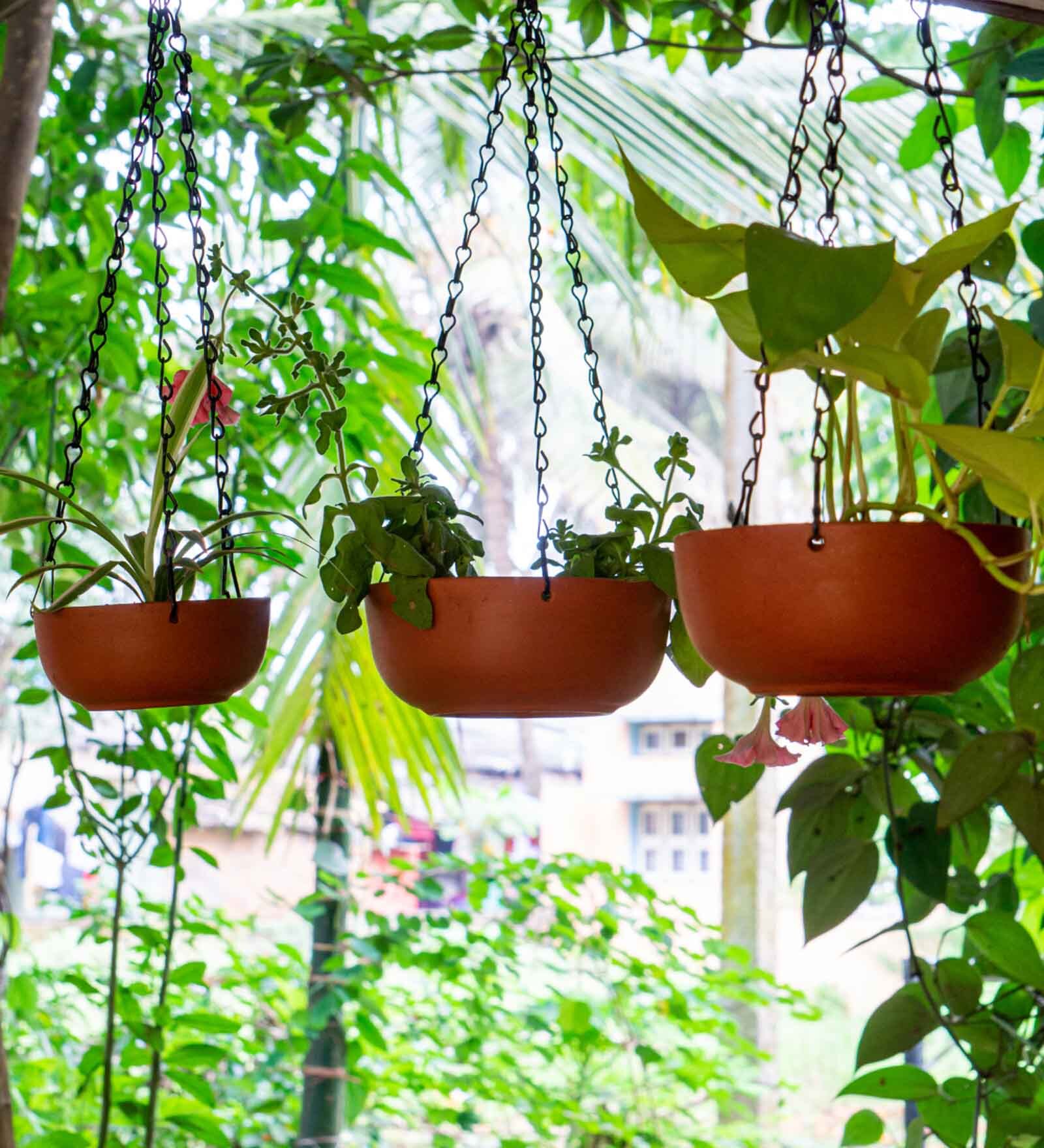Red Terracotta Hanging Planter Set Of 6