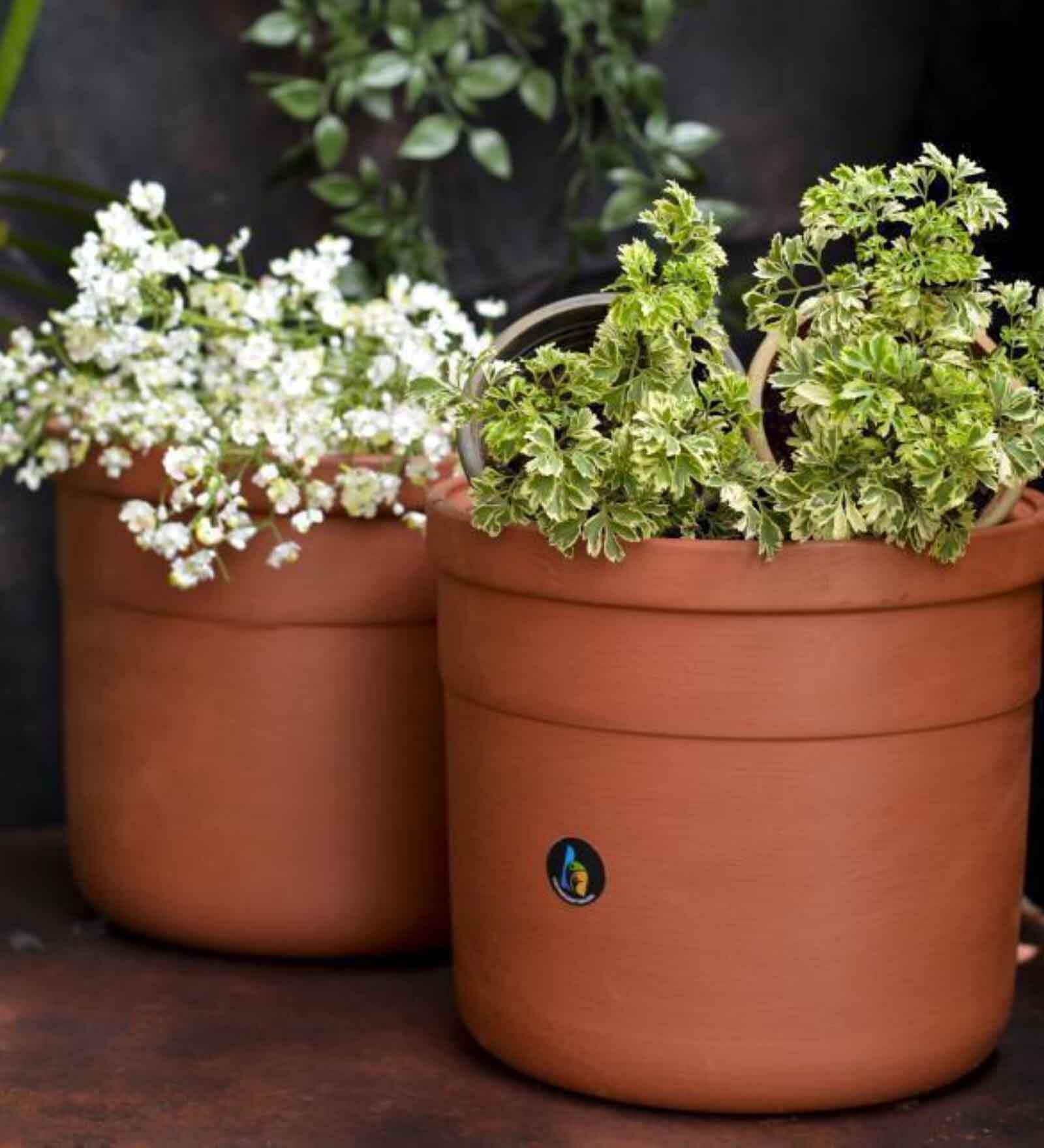 Jar Set Of 2 Red Terracotta Floor Planter