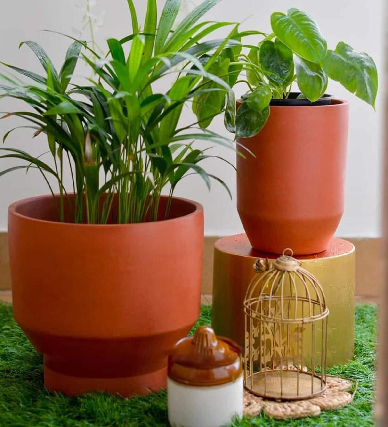 Red Terracotta Tulip Planter Set