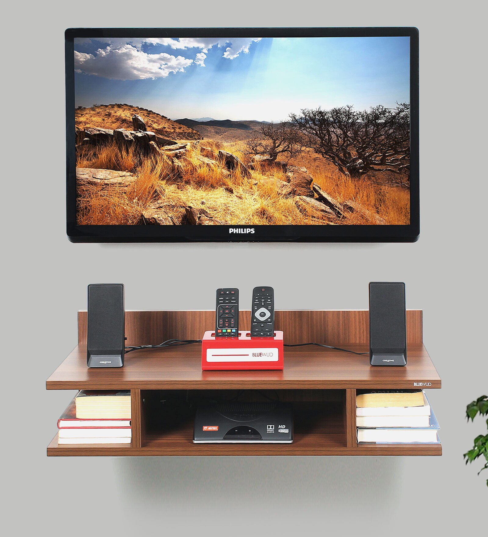 Reynold TV Unit in Walnut Finish for TVs up To 32"