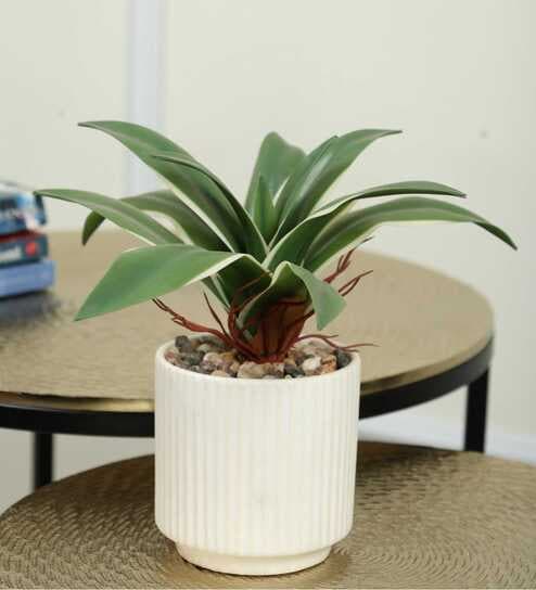 Real Touch Artificial Bonsai In A Ceramic Pot (Green)