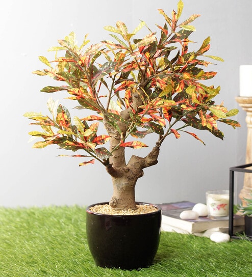 Red Artificial Red Croton Bonsai Plant with Pot