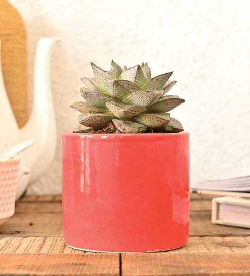 Red Ceramic Pipe Shape Desk Pot Desk Pot
