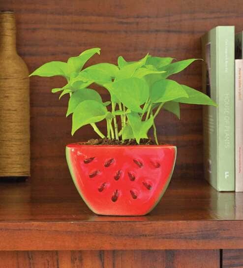 Red Ceramic Watermelon Shape Desk Pot Desk Pot