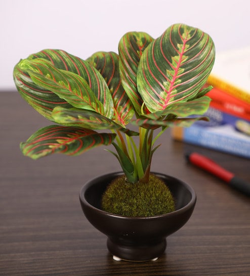 Red & Green Artificial Bonsai Plant with Ceramic Pot