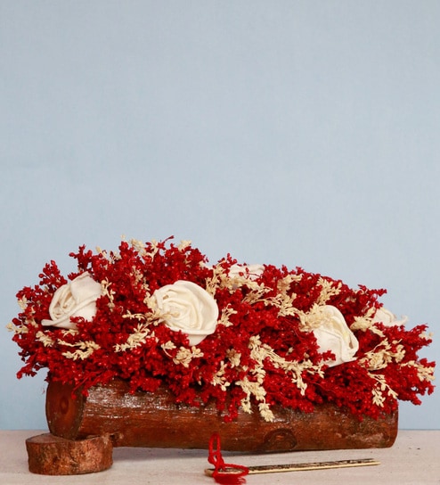 Red Sola Natural Dried Flowers On Wooden Bark