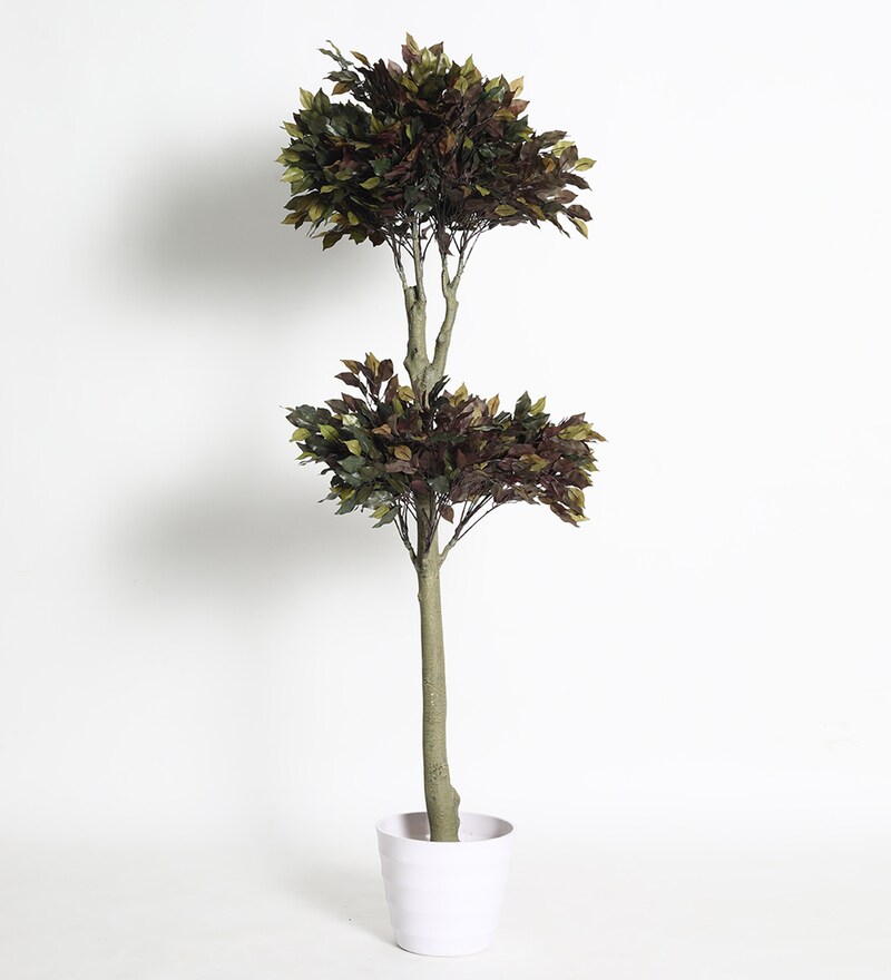Buy Red Plastic Ficus Artifical Plants Without Pot By Fourwalls Online Artificial Plants