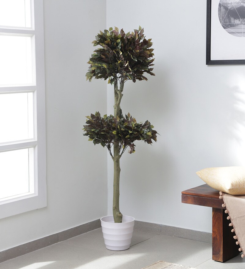 Buy Red Plastic Ficus Artifical Plants Without Pot By Fourwalls Online