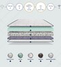 Reactive Dual 5 Inches Queen Size HR Foam Mattress
