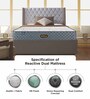 Reactive Dual 5 Inches Queen Size HR Foam Mattress