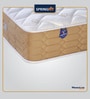 Reactiv Ortho Orthopedic 6 inch Memory Foam Queen Size Mattress