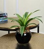 Green Fabric Artificial Real Touch Bonsai Plant in Ceramic Pot