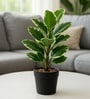 Green Realistic Artificial Leaves Plant with Black Pot