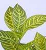 Artificial Realistic Croton Plant with Black Pot