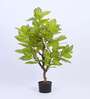 Artificial Realistic Croton Plant with Black Pot