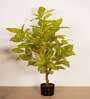 Artificial Realistic Croton Plant with Black Pot