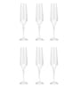 Rebecca 195ml (Set of 6) Champagne Glass