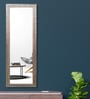 Rectangle Full Length Mirror ( 60 x 18 ) in Multicolour Colour