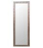 Rectangle Full Length Mirror ( 60 x 18 ) in Multicolour Colour