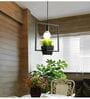 Rectangular Pendant Light with Artificial Flower Holder