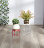 Red & White Metal (Set of 2) Planter Stands