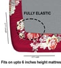 Red 180 TC Floral Cotton Fitted Double Bedsheet 2 Pillow covers