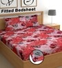 Red 180 TC Floral Cotton Fitted Double Bedsheet 2 Pillow covers