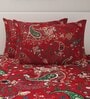 Red 200 TC Floral Print Cotton Fitted Double Bed Sheet with 2 Pillow Cover