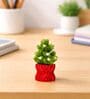 Artificial Plants with Red Pot