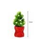 Artificial Plants with Red Pot