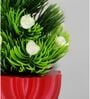 Artificial Plants with Red Pot