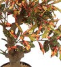 Red Artificial Red Croton Bonsai Plant with Pot