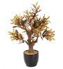 Red Artificial Red Croton Bonsai Plant with Pot