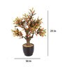 Red Artificial Red Croton Bonsai Plant with Pot