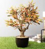 Red Artificial Red Croton Bonsai Plant with Pot