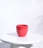 Red Ceramic Apple Shape Desk Pot Planter