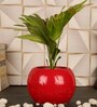 Red Ceramic Football Shape Desk Pot