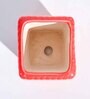 Red Ceramic Honeycomb Shape Desk Pot Planter
