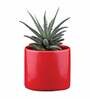 Red Ceramic Pipe Shape Desk Pot Desk Pot