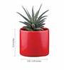 Red Ceramic Pipe Shape Desk Pot Desk Pot