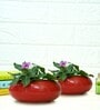 Red Ceramic Desk Pot Set Of 2