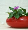 Red Ceramic Desk Pot Set Of 2